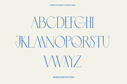 Modern Trend Font Bundle, a Serif Font by Laras Wonderland (Thumbnail 24 of 25)