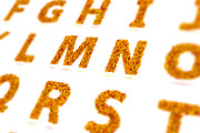 Autumn Leaves Alphabet [Vector], an Object Graphic by Chuhastock (Thumbnail 1 of 3)
