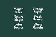 Gafjust Minfine Modern Serif, a Serif Font by timelesstype.co (Thumbnail 9 of 20)