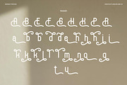 Rizendo - Monoline Font, a Font by Flawless And Co (Thumbnail 9 of 10)