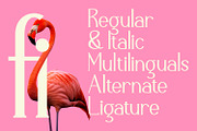 Calvarra - Modern Serif Font, a Serif Font by Rishsketch (Thumbnail 10 of 14)