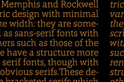 Foro, a Slab Serif Font by Hoftype (Thumbnail 13 of 14)