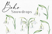 Watercolor Snowdrops, an Object Illustration by Olga Koelsch (Thumbnail 2 of 8)