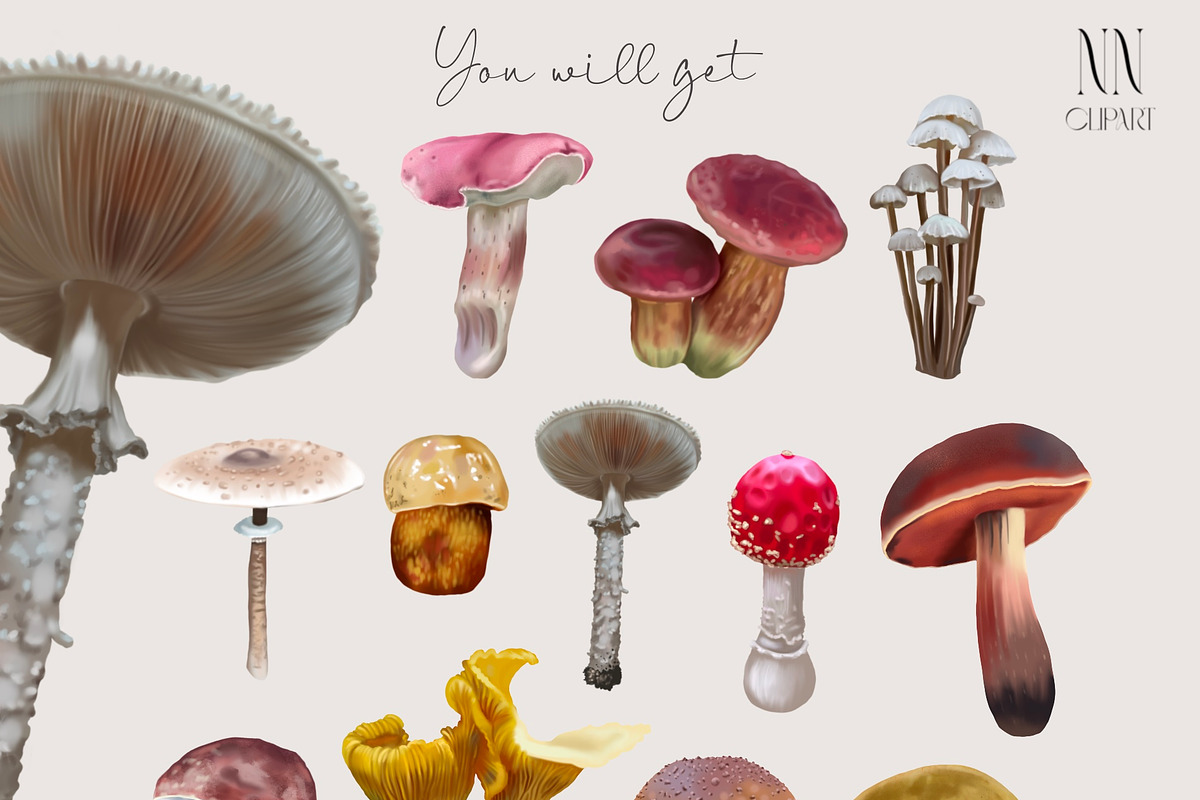 Botanical watercolor mushrooms, an Illustration by NNclipart (Photo 2 of 3)