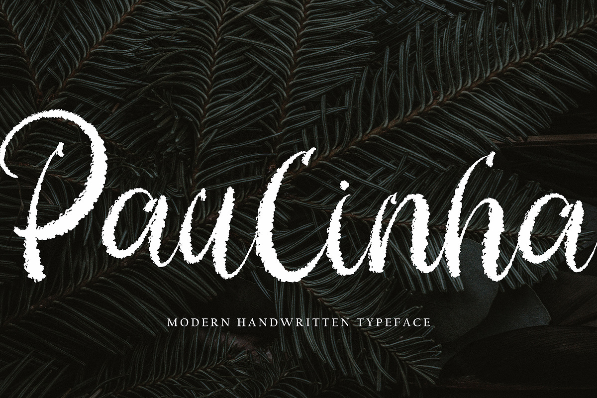 Paulinha, a Script Font by pineungtype (Photo 1 of 6)