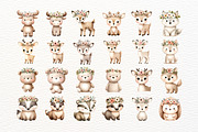 Watercolor Woodland Animals Clipart, an Animal Illustration by Nicolle's Colorful Art (Thumbnail 3 of 7)