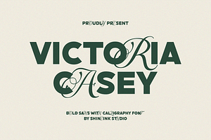 Victoria Casey, a Font by shineink.designlab