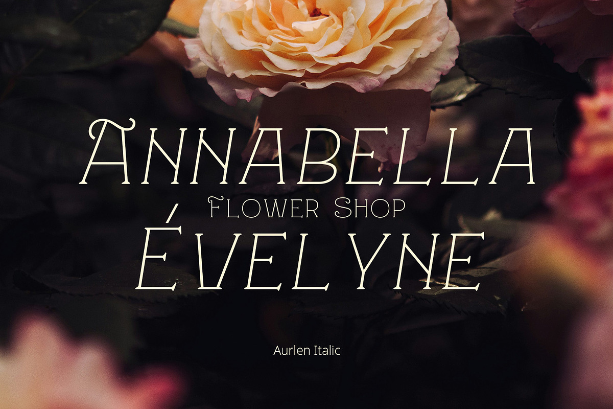 Aurlen – Elegant Serif, a Serif Font by Craft Supply Co. (Photo 5 of 8)