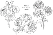 Bunch of Roses, an Object Graphic by VictoriaKStudio (Thumbnail 1 of 8)
