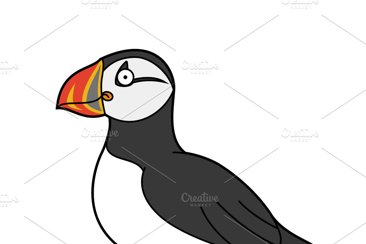 16x Arctic and Antarctic Animals, an Animal Illustration by asantosg (Photo 5 of 8)