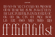 Vroza Conte - Elegant Modern Display, a Serif Font by Qweera Studio (Thumbnail 11 of 12)