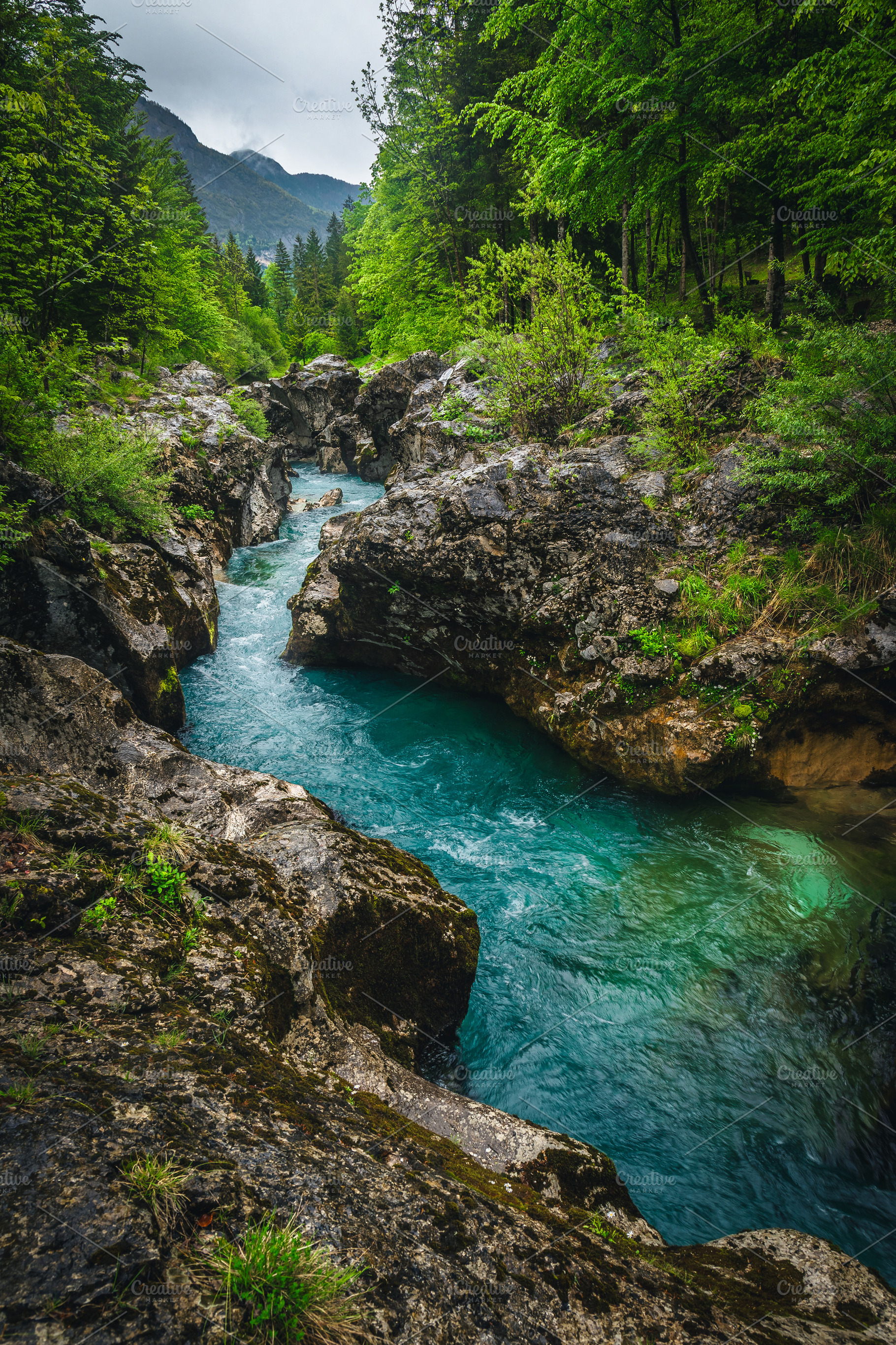Winding Soca river in the forest, a Nature Photo by Alpine Dreams