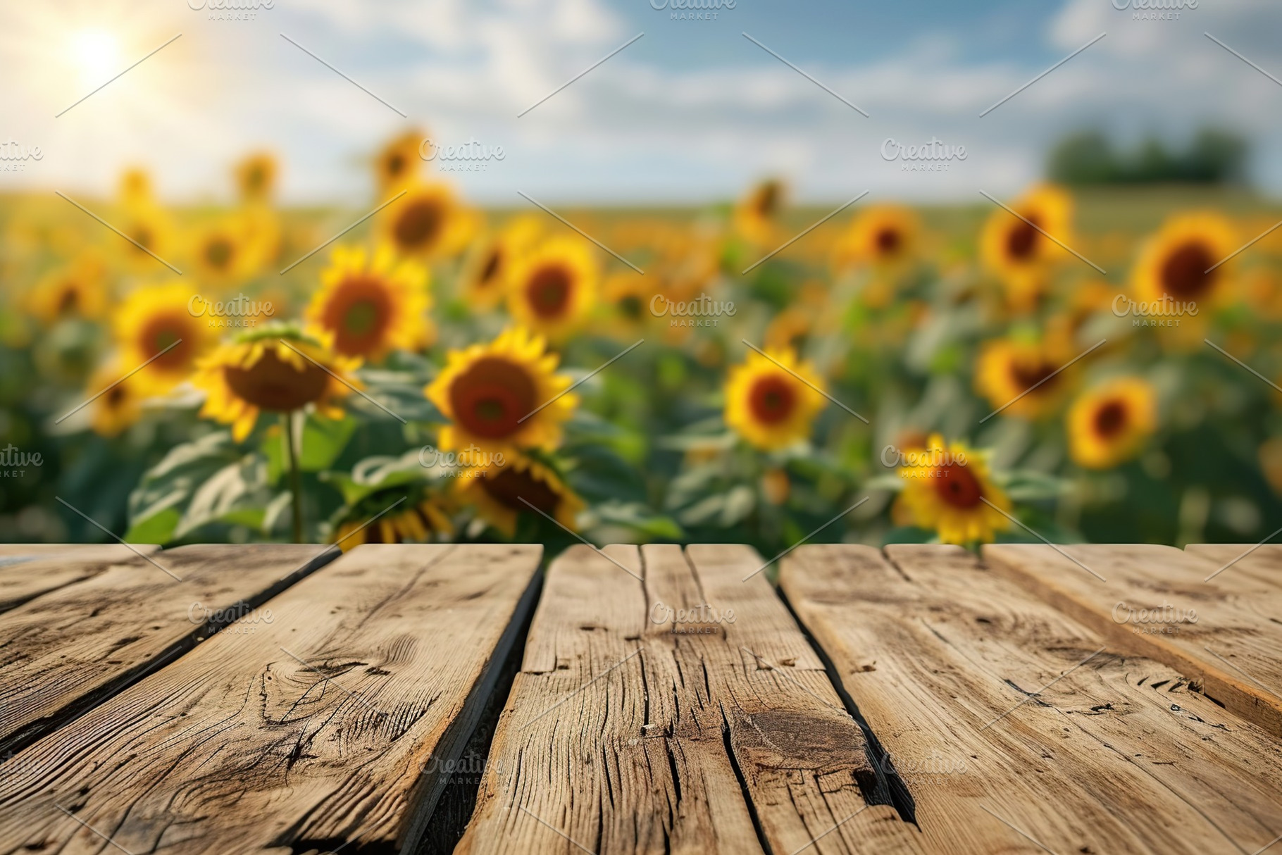 Empty wooden board on sunflowers field background, a Nature Photo by AlyaAnd