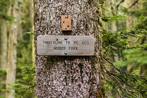 Sign post for trail 600 muddy fork stock photo containing cascade mountains