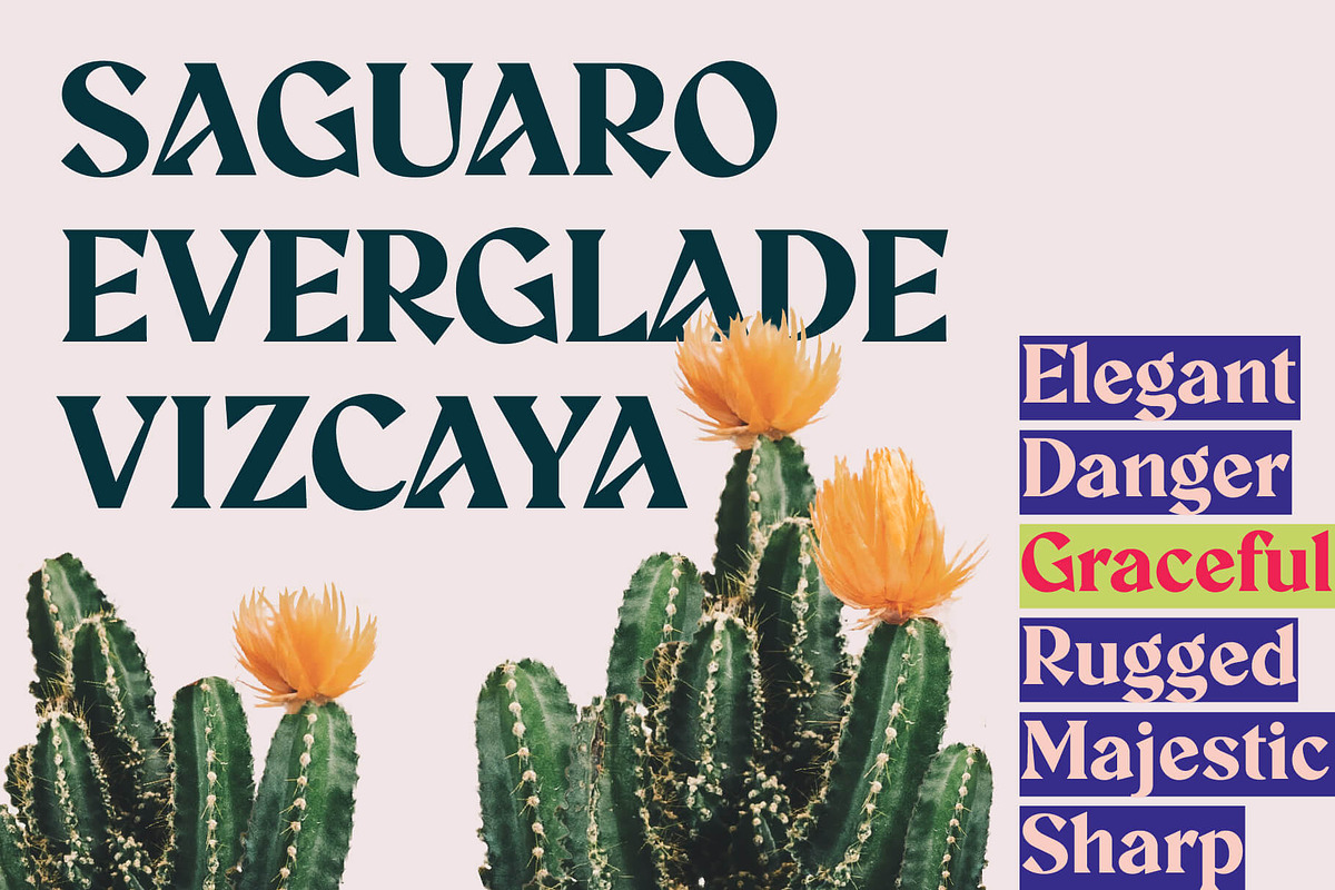 Aeda Rift, a Serif Font by ZP Fonts™ (Photo 4 of 12)