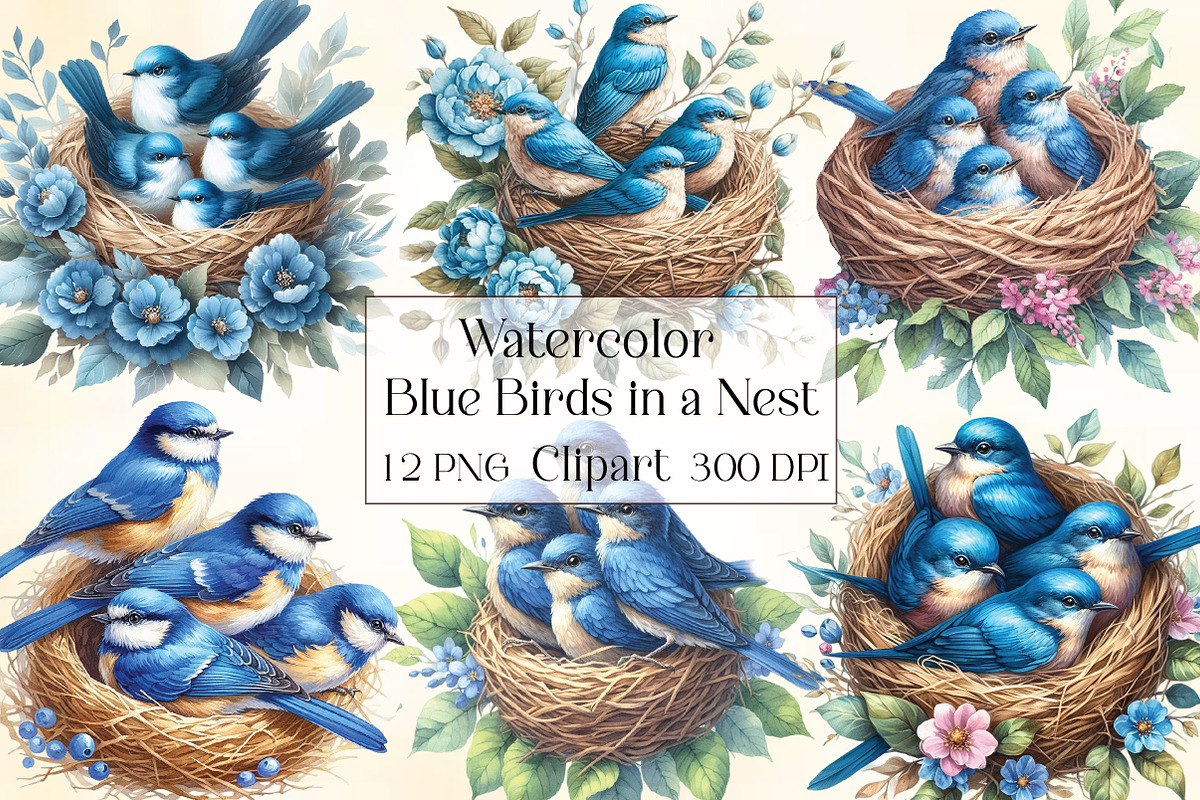 Watercolor Blue Birds Nest Clipart, an Illustration by CraftArtStudio (Photo 1 of 3)