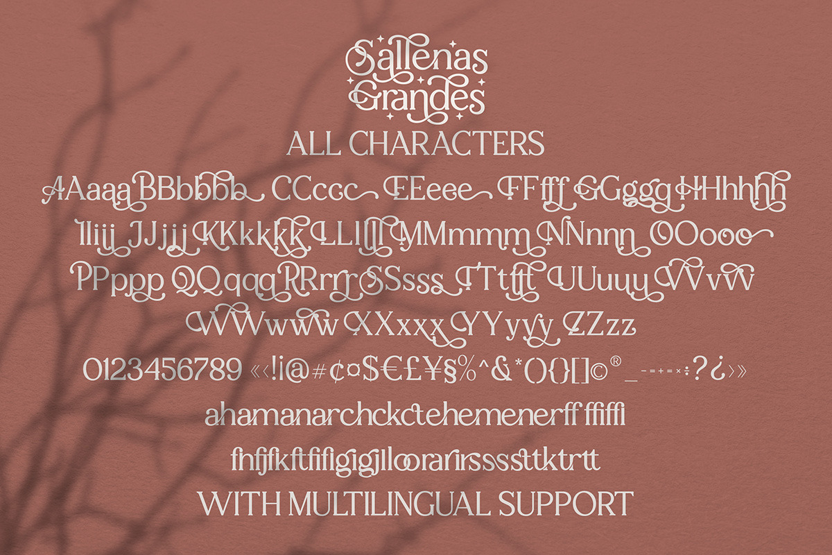 Sallenas Grandes|Elegant Serif Font, a Serif Font by Almeera Std (Photo 6 of 9)