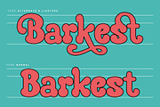 Seginoly - Retro Groovy Font, a Serif Font by Shakira Studio (Thumbnail 3 of 11)