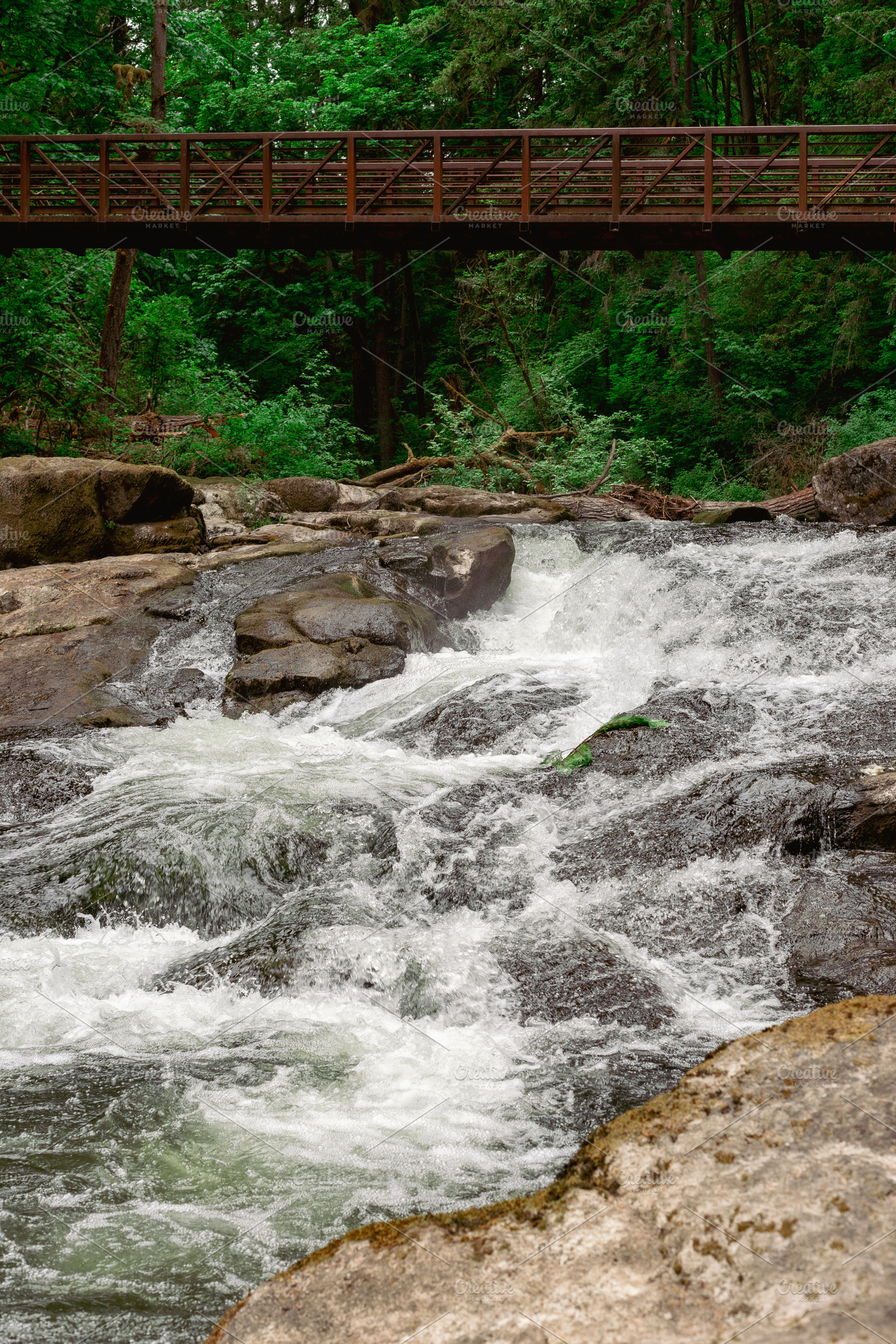 River Stream and Wooden Bridge, a Nature Photo by Andriana Syvanych