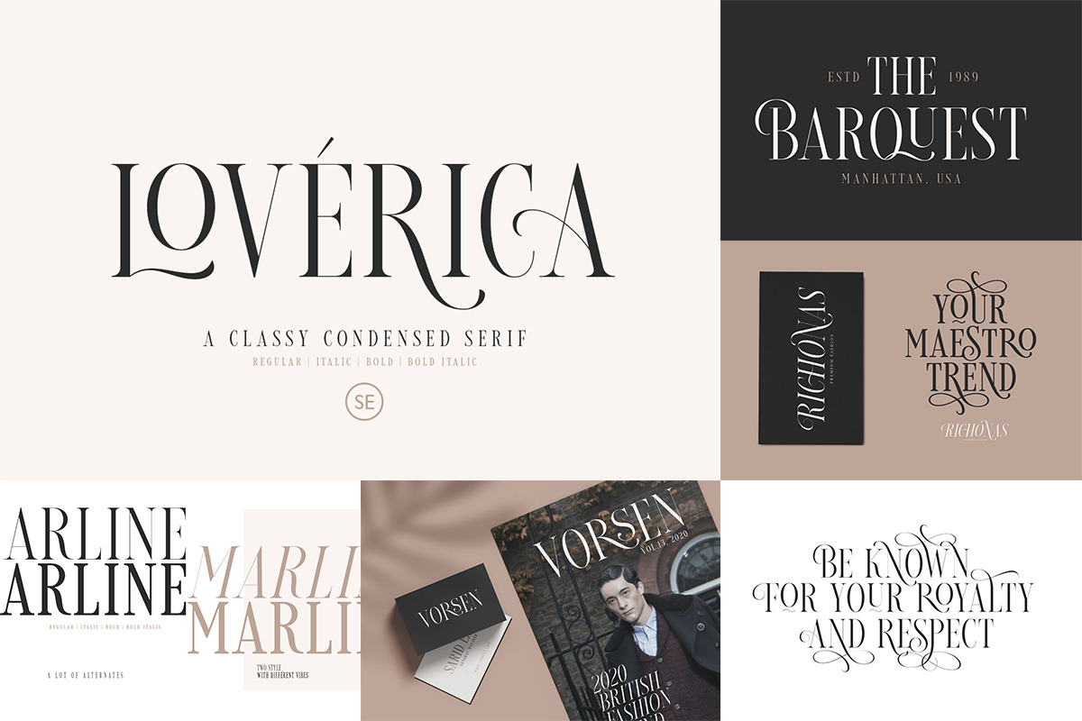 100+ Elegant & Timeless Font Bundle! preview 4