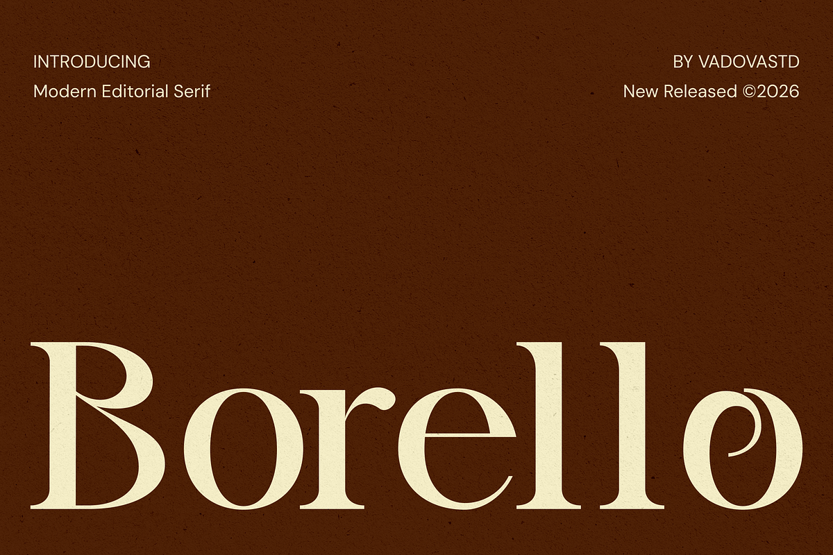 Borello Modern Editorial Serif Font, a Serif Font by Vadovastd (Photo 1 of 7)