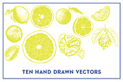 Vector Citrus Illustrations, an Illustration by Instinct Design Co (Thumbnail 2 of 3)