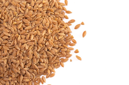 Pile of Organic Einkorn Rice Isolated on a White Background, a Food & Drink Photo by P Maxwell Photography
