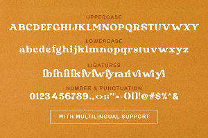 Pure Orange - Serif Bold Font