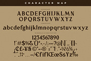 Majestic Kingdome New Display Serif, a Serif Font by Storytype Studio (Thumbnail 13 of 15)