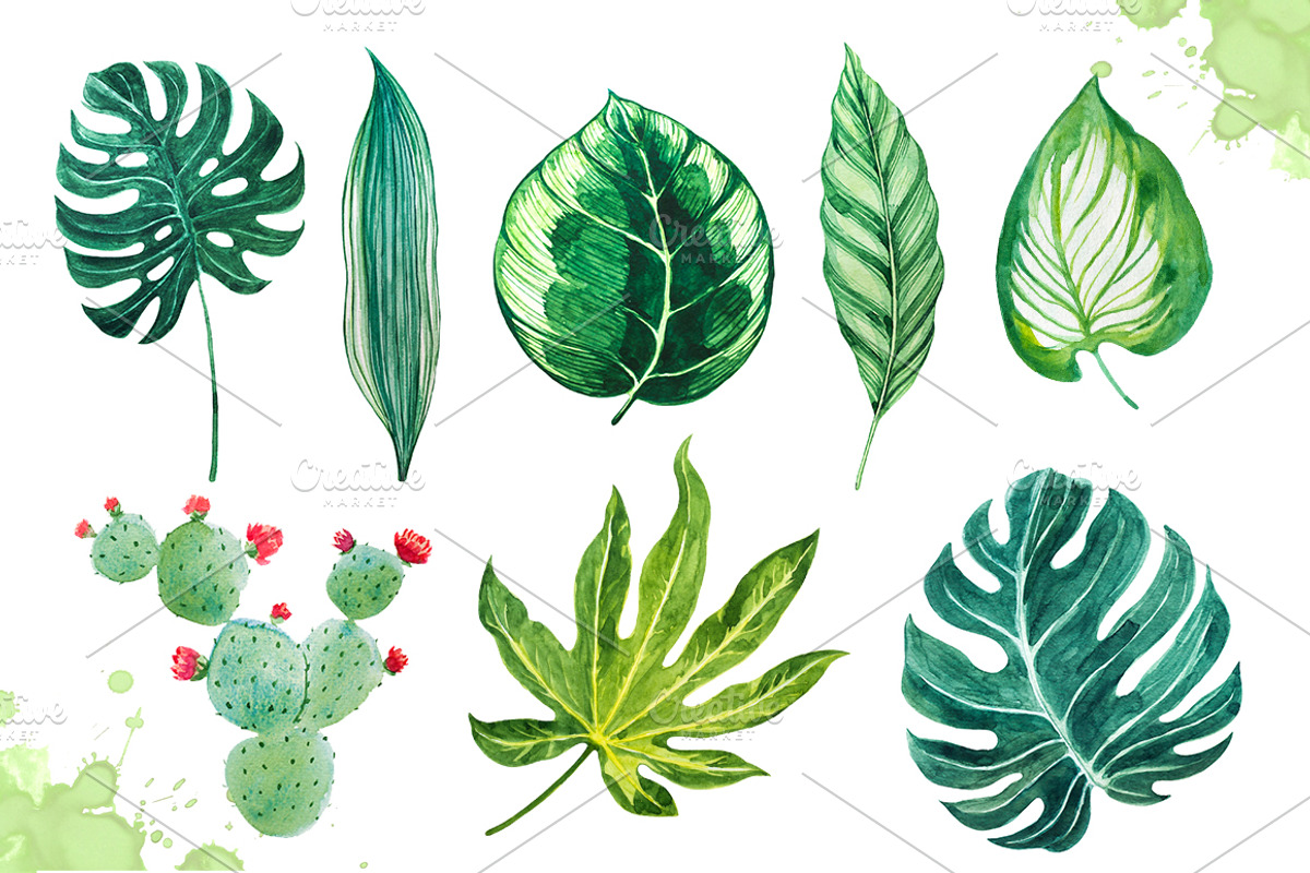 Watercolor tropical leaves set#2., a Decorative Illustration by AlexGreenArt (Photo 3 of 7)