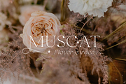 Puanto, a Serif Font by Larin Type Co. (Thumbnail 10 of 15)