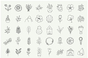 Hand drawn nature & plants doodles, an Illustration by Crocus Paperi (Thumbnail 3 of 4)