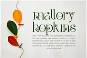 Alketa Nature Font, a Serif Font by 177Studio (Thumbnail 2 of 8)