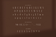 Neword Elegant Serif Font, a Serif Font by Graphicxell (Thumbnail 8 of 8)