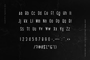 Charlotte Signature Font Duo, a Script Font by Type and Co. (Thumbnail 7 of 18)