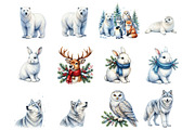 Watercolour Winter Arctic Animals, a Seasonal Illustration by fashionaddict (Thumbnail 3 of 7)