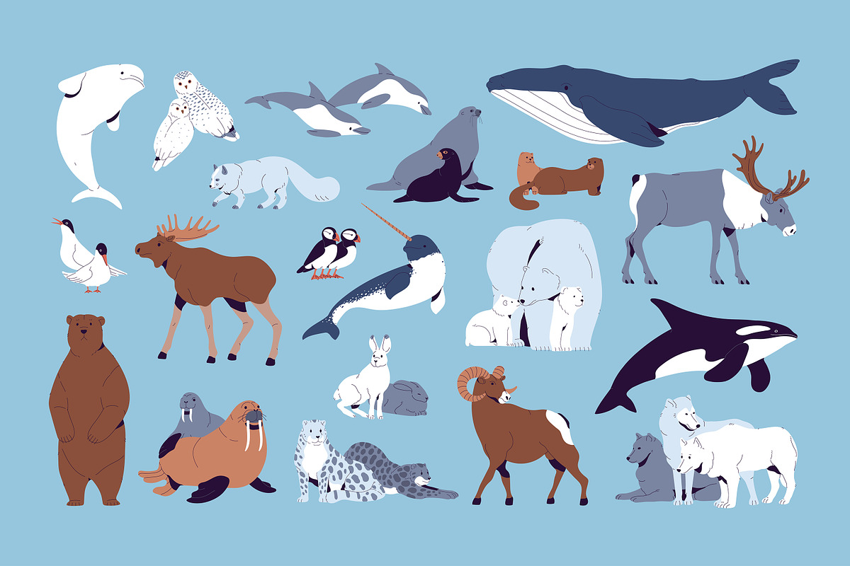 North animals set, seamless patterns, an Animal Illustration by PaperTrident (Photo 1 of 5)