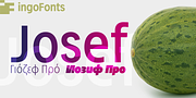 Josef Pro, a Sans Serif Font by ingoFonts (Thumbnail 1 of 10)