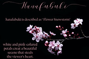 Cherry Blossom, a Script Font by Funtype (Thumbnail 4 of 9)