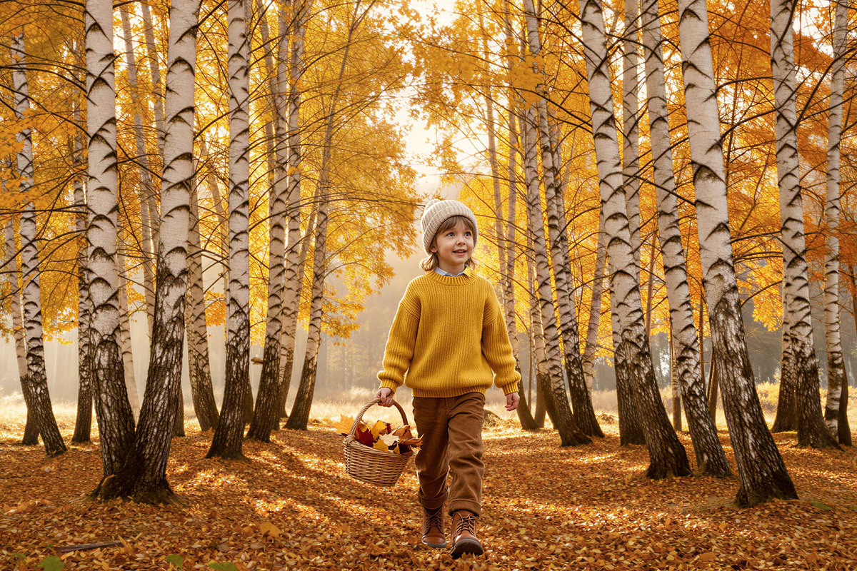 30 Autumn Bokeh Digital Backdrops, a Background Graphic by 3Motional (Photo 8 of 18)