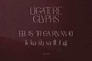 Forbidden Love - Display Font, a Serif Font by VP Fonts (Thumbnail 8 of 20)