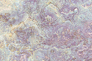 20 marble textures. Beige collection, a Texture Graphic by tkdesign (Thumbnail 6 of 21)