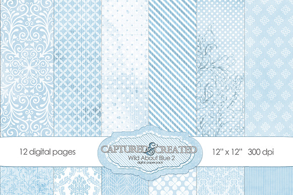 Wild About Blue Set 2 Digital Paper preview 5
