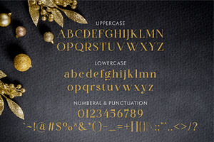 Gaston Honey A New Font Duo