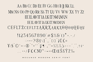 Megunso - Modern Serif Font