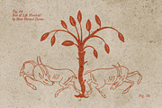 Animalist Folklore: Vector Elements, an Object Graphic by Design Squad (Thumbnail 5 of 8)