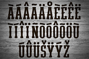 Homeplate Font Duo, a Serif Font by Alphabet Agency (Thumbnail 6 of 8)