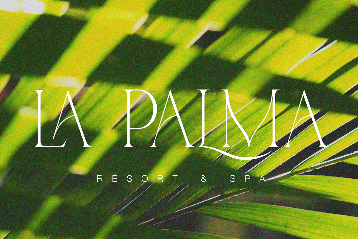 Bechilo – Modern Serif Font, a Serif Font by Yahya Type (Photo 5 of 25)
