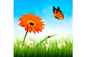 Beautiful Flower And A Butterfly