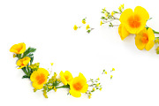 Yellow floral flatlay set, an Object Graphic by Pullia (Thumbnail 1 of 9)